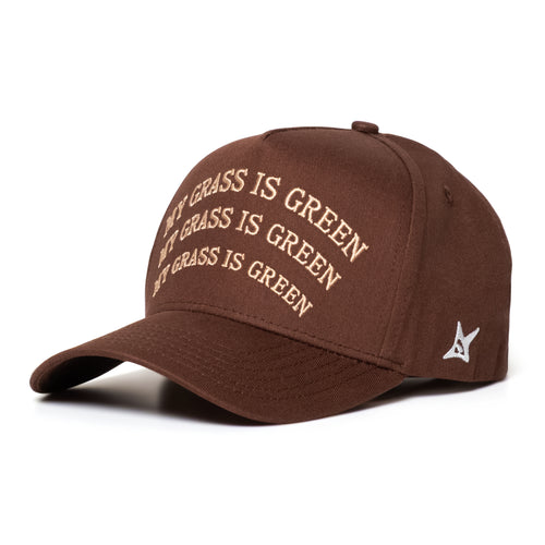 My Grass is Green A-Frame Snapback // ESPRESSO